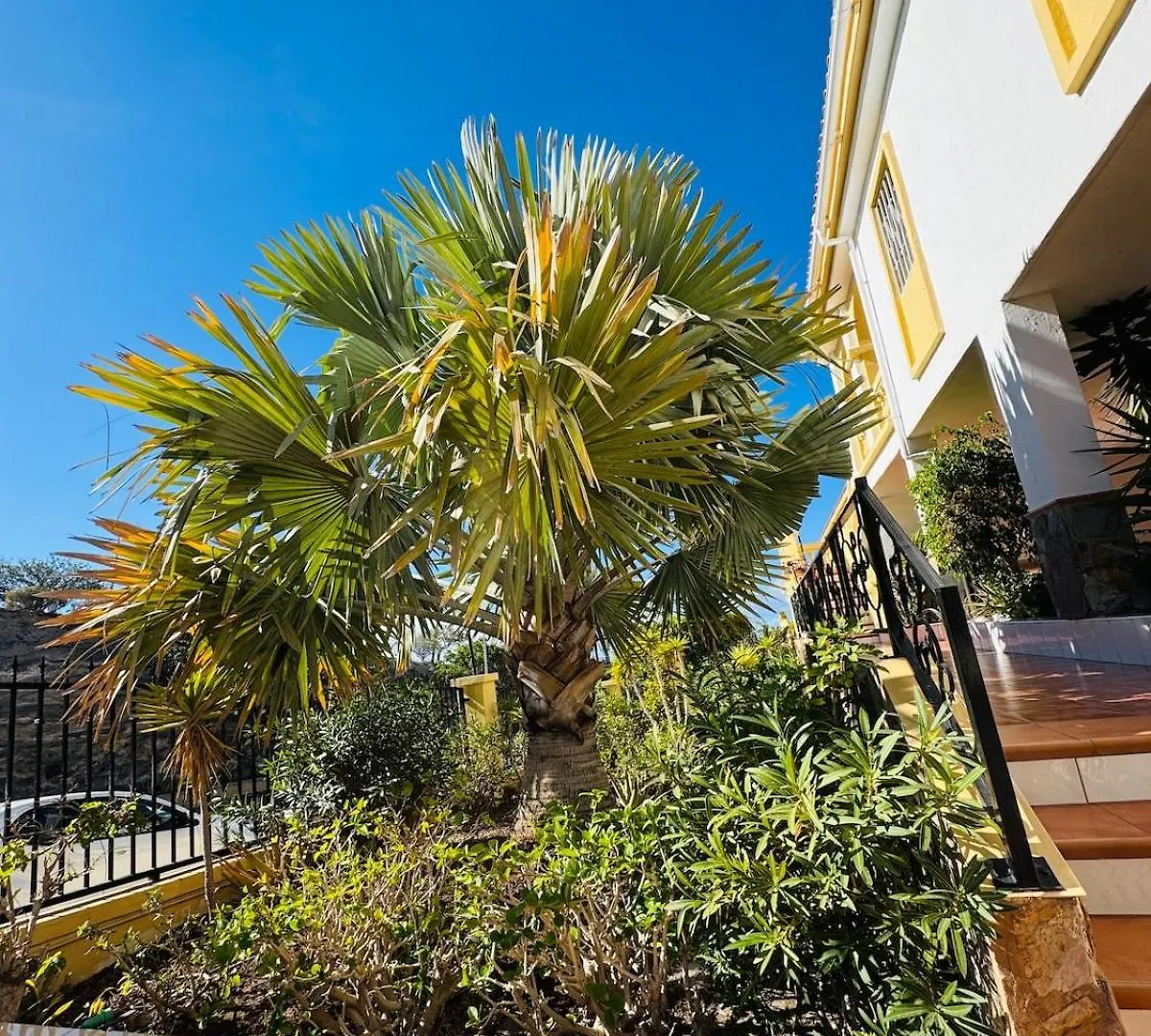 Tenerife Lovely Apartment With Ocean Mountain View Costa Adeje